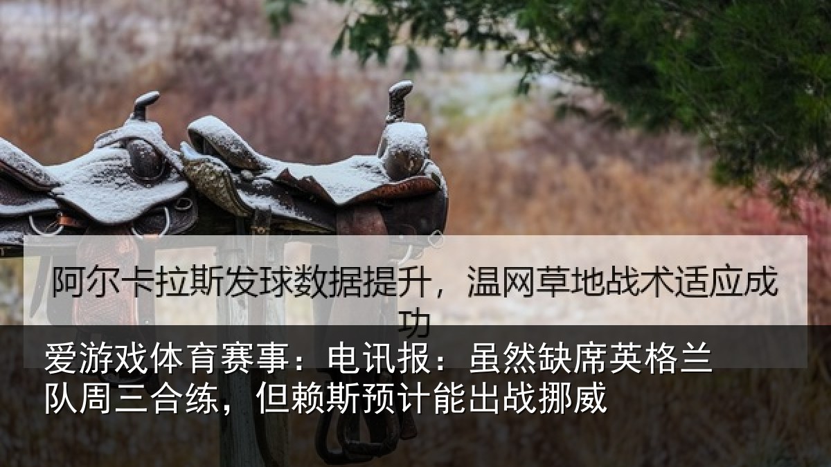 爱游戏体育赛事:电讯报:虽然相关情况情况挪威
